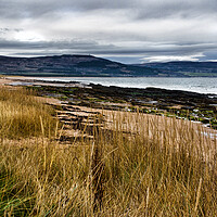 Buy canvas prints of Embo Beach Scotland by Jacqi Elmslie