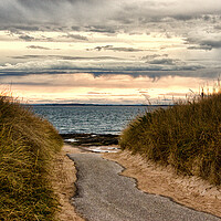 Buy canvas prints of Path to the Beach Embo by Jacqi Elmslie