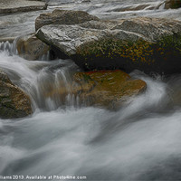 Buy canvas prints of Rapid River by john williams