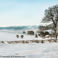 Buy canvas prints of A Snowy Day by Jim kernan