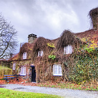 Buy canvas prints of The Overgrown Cottage by Jim kernan