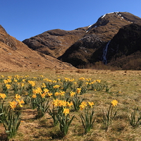 Buy canvas prints of Glen Nevis In Spring by James Buckle