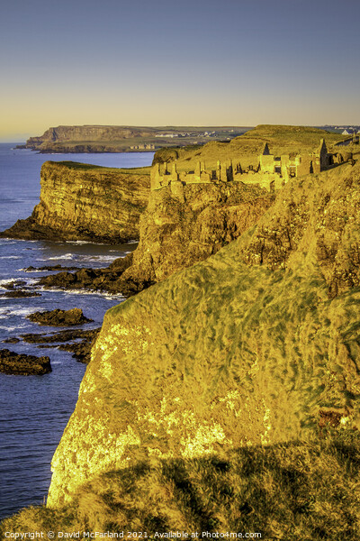 Majestic Dunluce Castle in the Golden Hour Picture Board by David McFarland