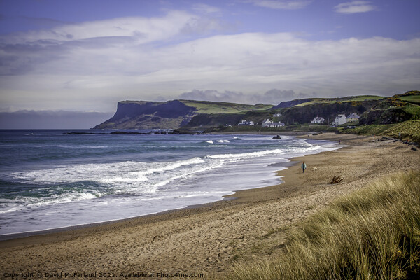 Unleash the Wild Beauty at Ballycastle Picture Board by David McFarland
