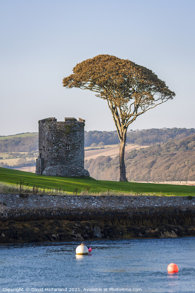 Ancient Guard Tower, Strangford Picture Board by David McFarland