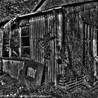 Buy canvas prints of Ye olde shed by David McFarland