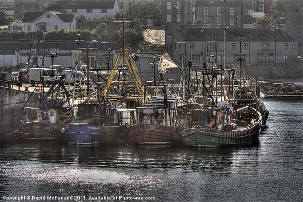 Ardglass Fishing Fleet Picture Board by David McFarland