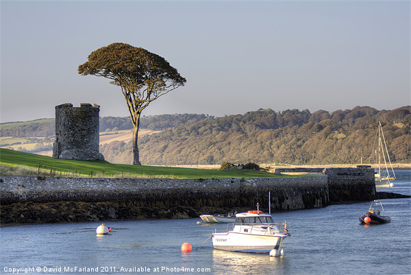 Strangford Tower Picture Board by David McFarland