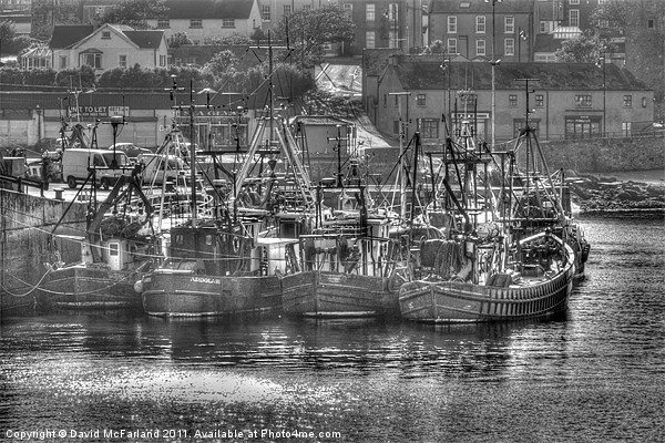 Ardglass fishing fleet Picture Board by David McFarland
