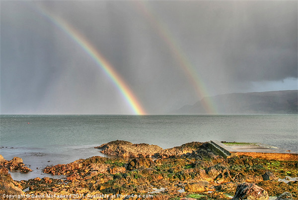 Shower over Garron Point Picture Board by David McFarland
