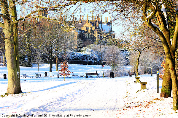 Wintery Lurgan Park Picture Board by David McFarland