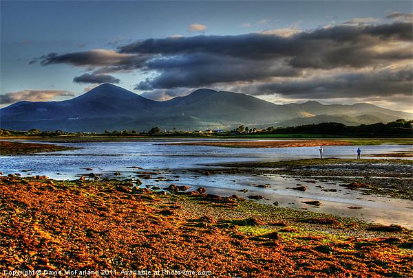 Dundrum Evening Picture Board by David McFarland