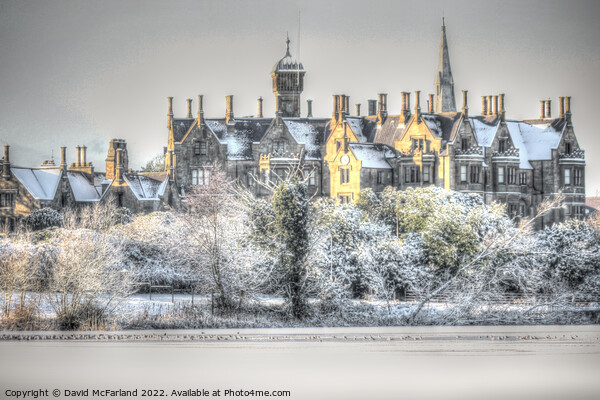 Winter Wonderland at Brownlow House Picture Board by David McFarland