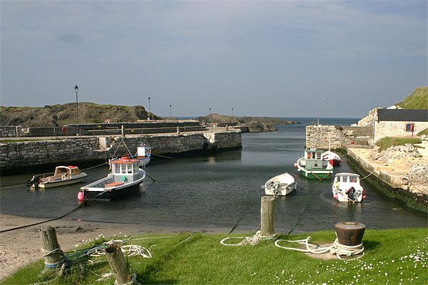 Ballintoy Harbour Picture Board by David McFarland