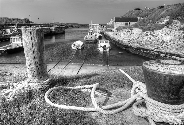 Tied up in Ballintoy Harbour Picture Board by David McFarland