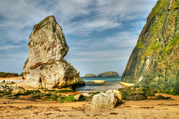 Secluded Cove at Ballintoy Picture Board by David McFarland