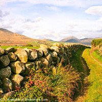 Buy canvas prints of Walk into the Mournes by David McFarland