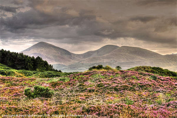 Rain forecast for the Mournes Picture Board by David McFarland