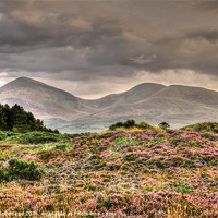 Buy canvas prints of Rain forecast for the Mournes by David McFarland