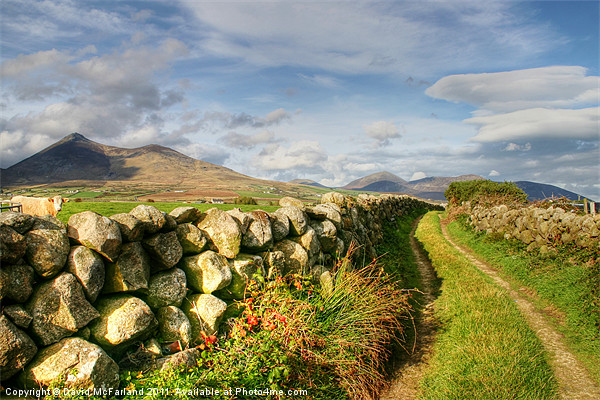 Pathway to the Mourne Mountains Picture Board by David McFarland