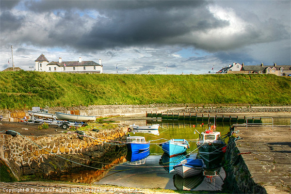 Portballintrae Harbour Picture Board by David McFarland