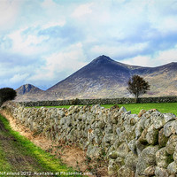 Buy canvas prints of Mourne Mountain Farming by David McFarland
