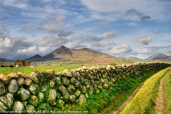 The Mournes in sunlight Picture Board by David McFarland