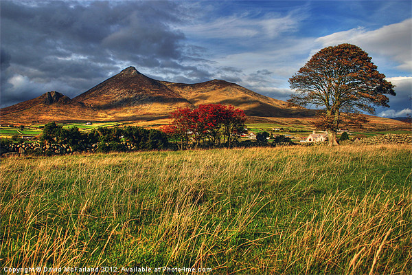 Autumn in the Mournes Picture Board by David McFarland