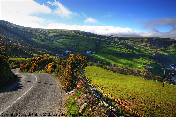 Spring sunshine on Torr Road Picture Board by David McFarland