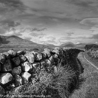 Buy canvas prints of Path to the Mourne Mountains by David McFarland