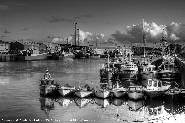 Kilkeel Harbour Picture Board by David McFarland