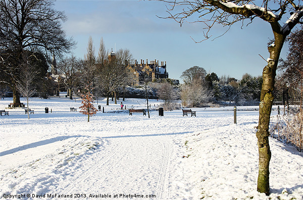 Wintery Lurgan Park Picture Board by David McFarland
