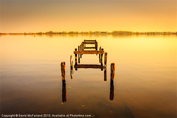 Old jetty at Oxford Island nature reserve in North Picture Board by David McFarland