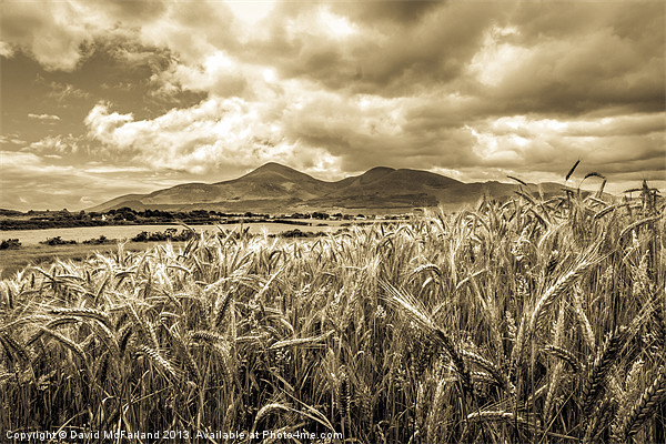Timeless Mourne Harvest Picture Board by David McFarland