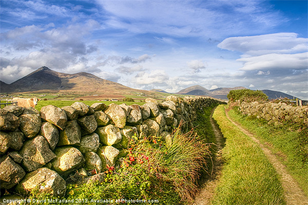 Rural pathway into the Mournes Picture Board by David McFarland