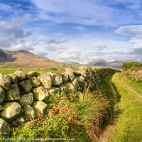 Buy canvas prints of Rural pathway into the Mournes by David McFarland