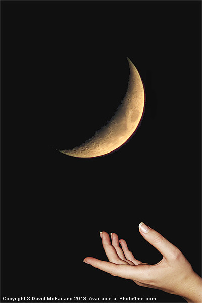Pringle Moon Picture Board by David McFarland