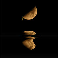 Buy canvas prints of Golden Moondrops by David McFarland