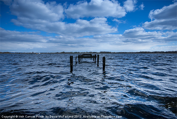 Old jetty on Lough Neagh Picture Board by David McFarland