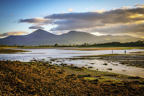 Evening anglers at the Mournes Picture Board by David McFarland