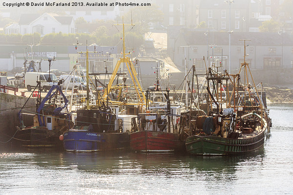 Ardglass Fishing Fleet (2) Picture Board by David McFarland