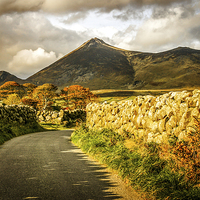 Buy canvas prints of Autumn in the Mournes by David McFarland