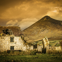 Buy canvas prints of Derelict Homestead in Mountains of Mourne, County  by David McFarland