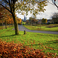 Buy canvas prints of Moira Demesne in Autumn by David McFarland