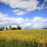 Buy canvas prints of Soldierstown Church by David McFarland