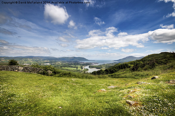  Carlingford summer Picture Board by David McFarland