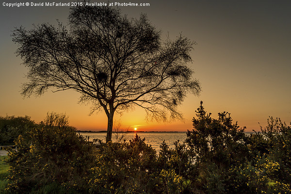  Lough Neagh Sunset Picture Board by David McFarland