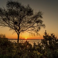 Buy canvas prints of  Lough Neagh Sunset by David McFarland