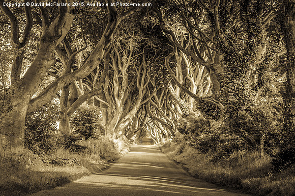  Mysterious and magical Picture Board by David McFarland