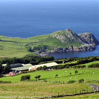 Buy canvas prints of Torr Head in County Antrim by David McFarland